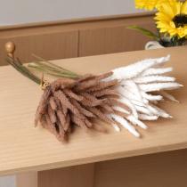 Kurutulmuş Pampas Otu Kahverengi