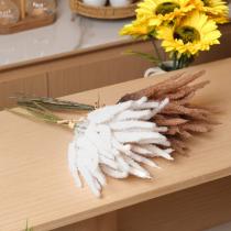 Kurutulmuş Pampas Otu Beyaz